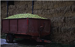 Farm news